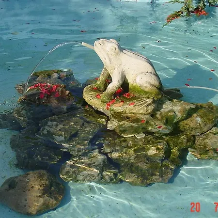 Secret Garden House Gasthof 2*